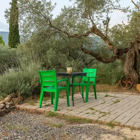 Olive Garden - Tranquil Outdoor Dining Area *